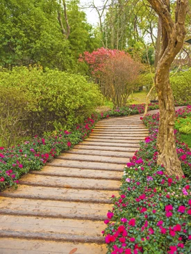 Sentier paysager en rondins de bois traversant un jardin luxuriant avec massifs de fleurs roses et fuchsia, arbres à feuillage vert dense et spécimen à floraison rose coral en arrière-plan